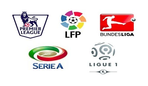 同领域的学 同领域的学